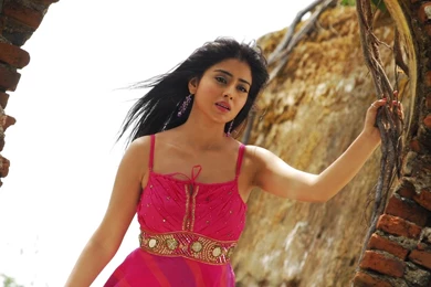Shriya Saran Wallpapers