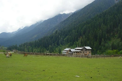 Landscapes Wallpapers