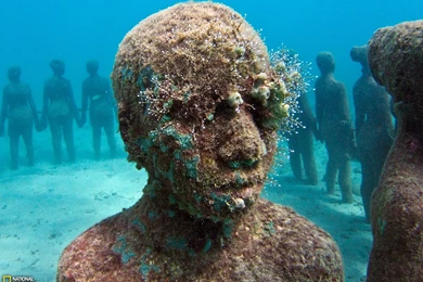 National Geographic HD Wallpapers And Photos