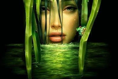 Free wallpaper for android mobile 5.jpg