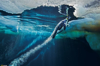 Photography   Desktop Wallpapers   National Geographic Magazine