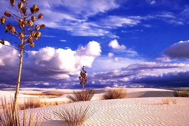 Amazing Nature Wallpapers   National Geographic Wallpapers (7896628 ...