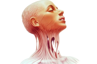 Anatomy Human Body Face Girl Wallpapers