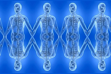 Anatomy Blue Human Body Best Widescreen Backgrounds Awesome