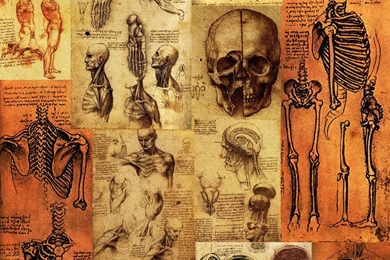 DeviantArt: More Like Davinci's Yoga 2: Sketch 1 By Mauthbaux