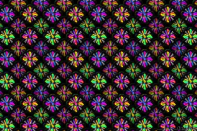 50 Beautiful Flower Wallpaper Images For Download