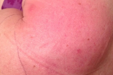 How To Train A Cat Not To Scratch   Cats Types