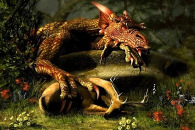 Free Dragon Wallpapers Wallpapers Cave