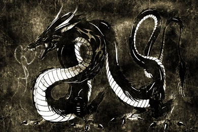 Dragon Wallpapers 81736