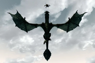 3D, Dragon, Wallpapers   Wallpapers – Yoyowall.com