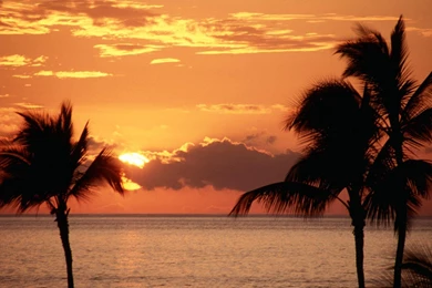 Tropics Maui Free Desktop Backgrounds   Free Wallpapers Image