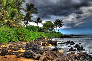 Hawaii Wallpapers Free 78D   WallPey