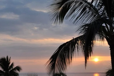 iPhone 4 640 X 960 Maui Wallpapers And Backgrounds