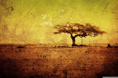 Artist Archives   Free Wallpapers Full Hd 1080p, High Definition ...