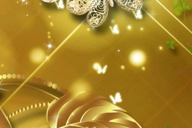 Butterfly Live Wallpapers Download   Butterfly Live Wallpapers 1.0 ...