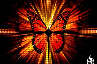 Website Wallpaper: Butterfly Wallpapers