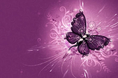 3d Butterfly Wallpapers Free