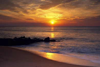 Free Sweetest Day Computer Desktop Wallpapers