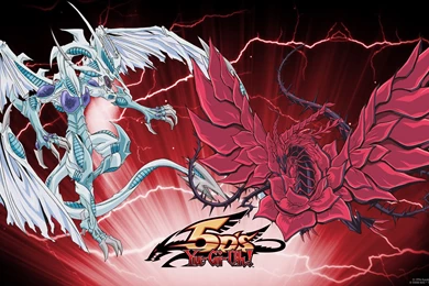 Yu Gi Oh! 5D's/