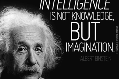IMAGINATION QUOTES ALBERT EINSTEIN Image Quotes At Hippoquotes.com