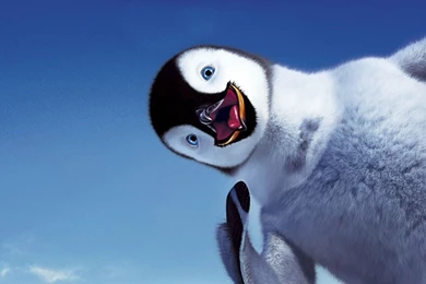 Cute Penguin Backgrounds   Wallpapers Cave