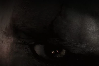 Creepy iPad Wallpapers Download