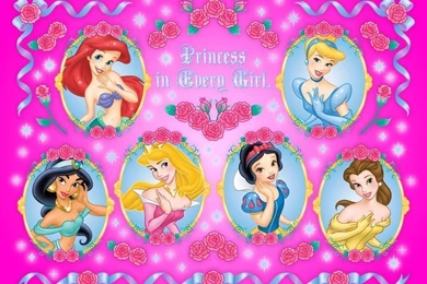 Disney Princess   Disney Princess Wallpapers (16247427)   Fanpop