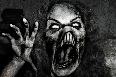 Twisty Face   Flikie Wallpapers