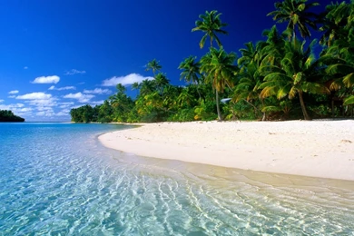 Beautiful Beach Scenes.jpg