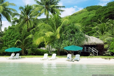 Summer Beach Wallpapers   Crazy Frankenstein