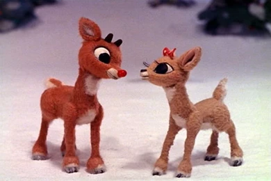 Rudolph The Red Nosed Reindeer' (already), 'Dancing With The Stars ...