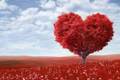 Love valentine astounding love tree wallpaper 2013 728x500.jpg