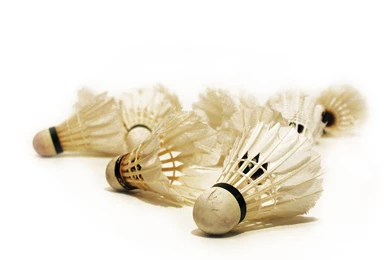 Wallpaper: Badminton Wallpapers