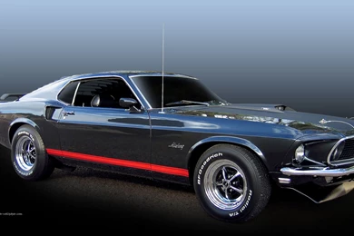 Ford Mustang Boss 429   Image