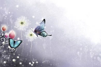 Beautiful butterfly wallpaper.jpg