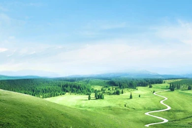 Smart Phone Wallpapers