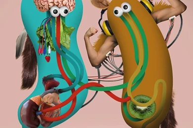 Smartphone Wallpapers   Geneviève Gauckler