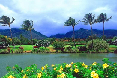 Hawaii HD Wallpapers