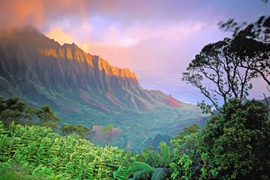 Hawaii Wallpapers Nature Wallpapers