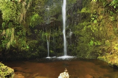Waterfall In Hawaii HD Desktop Wallpapers : High Definition ...