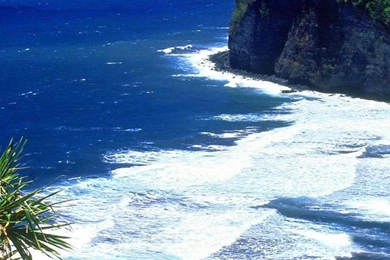 Beach Hawaii iPhone 4s Wallpapers Download