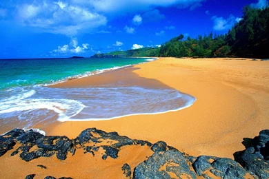 Hawaii Wallpapers Free   Wallpapers Cave