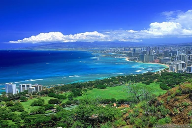 Hawaii Wallpapers 3 Crazy Frankenstein