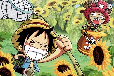 One Piece Wallpapers   Anime Wallpapers