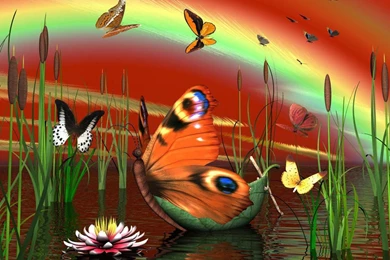 Free Wallpapers For PC Windows 7   Wallpapers Cave