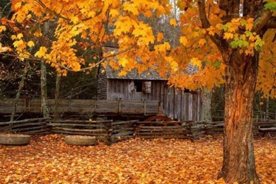 Fall Scenes Wallpapers And Screensavers