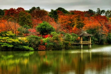 Beautiful Autumn Scenes 1920x1200 Wallpapers, 1920x1200 Wallpapers ...