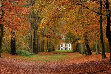 Pin By Beverly Fields On Wonderful Things