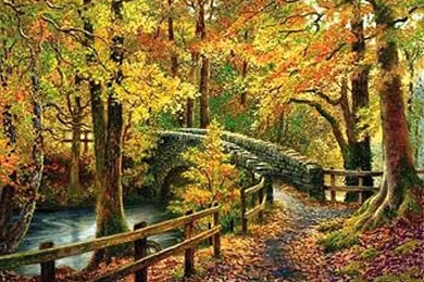 Autumn Backgrounds Scenes Images