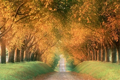 Wallpapers Hd Autumn HD Wallpapers Pretty